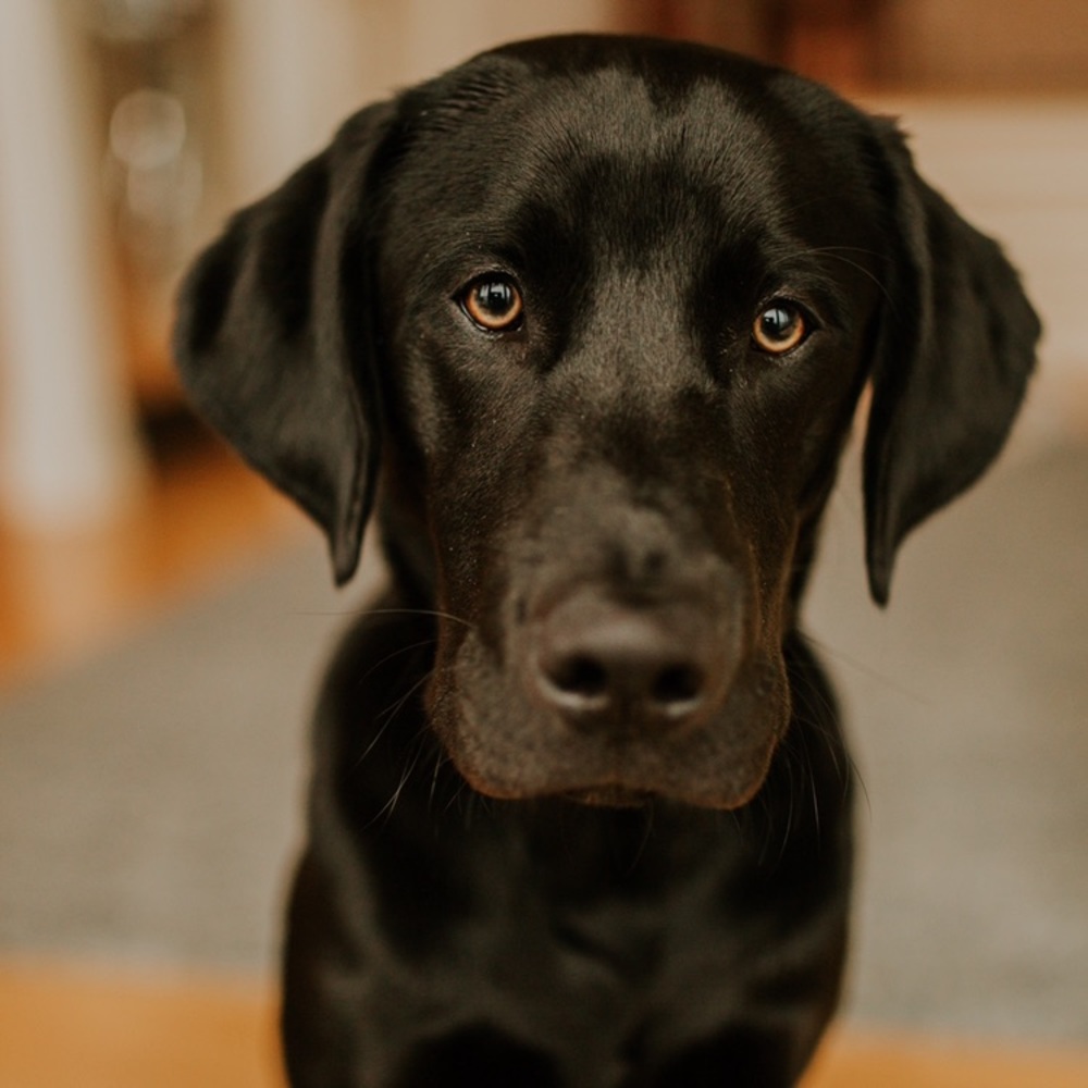 open! i never decline. only counter/accept